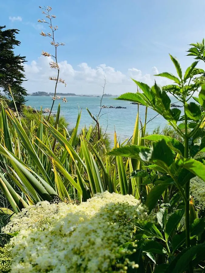 L'Escale 551, Gite Santec A 250M De La Plage 0*,